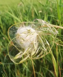 Pat 01 Wat hebben we hier